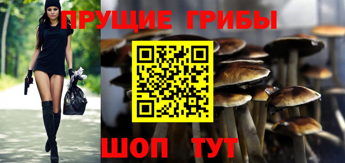 Новочебоксарск  Псилоцибиновые грибы Psilocybine cubensis  Вход с VPN  Галлюциногенные грибы Magic Shrooms 